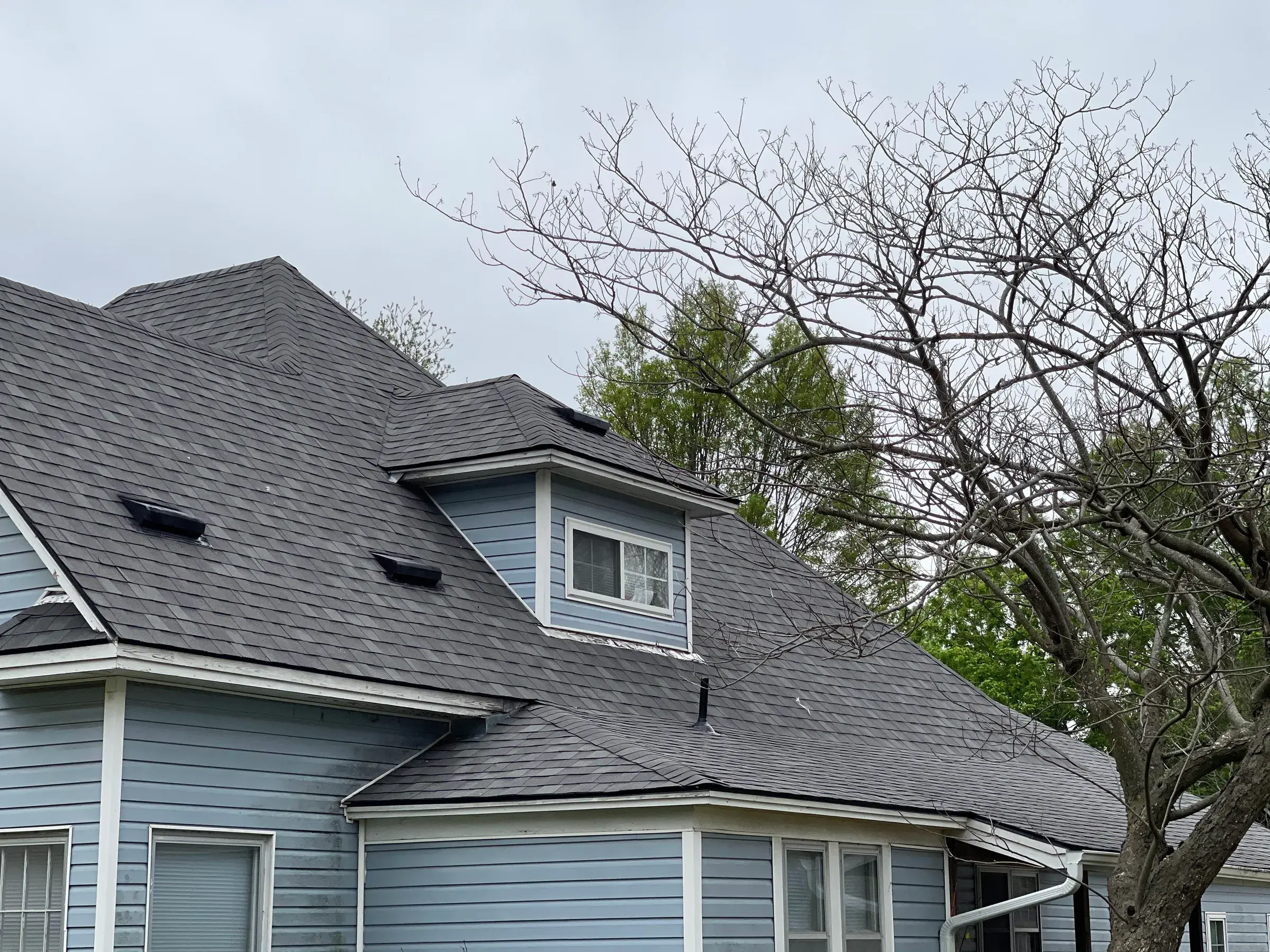 A two-story light blue house with a weathered dark gray shingle roof and a dormer window, with bare tree branches reaching over the roofline.